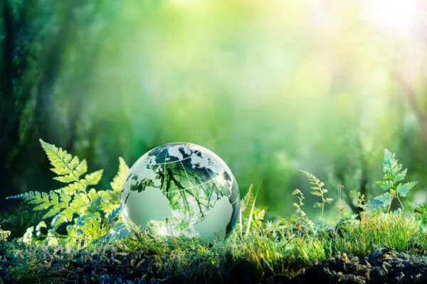 Go green and Eco Friendly products