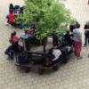 Circular Bench